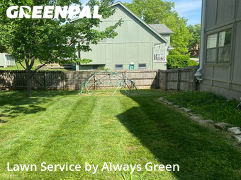 Lawn Cutting nearby Olathe, MO, 