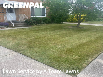Yard Mowing nearby Euclid, OH, 