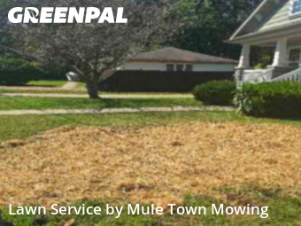 Yard Upkeep in Franklin, 37064, Lawn Cutting by Mule Town Mowing , work completed in Oct , 2025