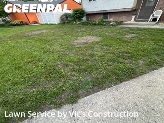 Grass Cut nearby Joliet, IL, 