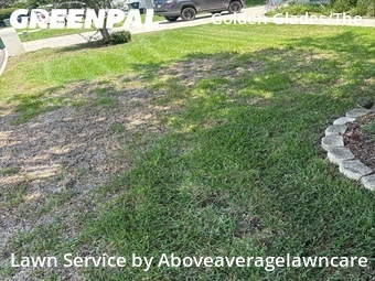 Yard Cutting nearby Jacksonville, FL, 