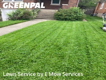 Grass Cutting nearby Cincinnati, OH, 
