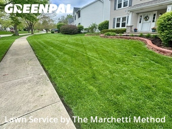Yard Mowing nearby Bolingbrook, IL, 