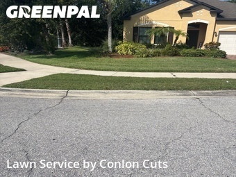 Grass Cut nearby Palmetto, FL, 