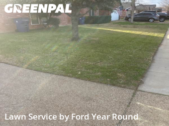 Grass Cut nearby Crowley, TX, 