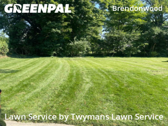 Lawn Cutting nearby Indianapolis, IN, 