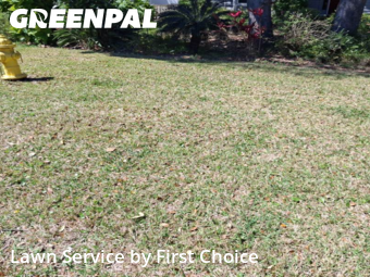 Lawn Care nearby St. Augustine, FL, 