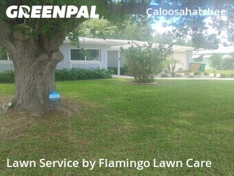 Lawn Care nearby Cape Coral, FL, 