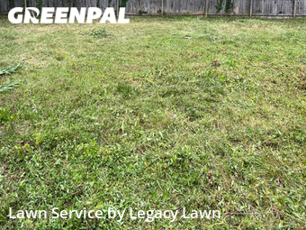 Lawn Cutting nearby Shelbyville, KY, 