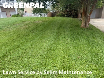 Lawn Mow nearby St. Augustine, FL, 