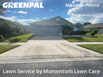 Yard Cutting nearby Wesley Chapel, FL, 