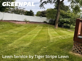Lawn Cut nearby Omaha, NE, 