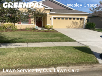 Lawn Mowingin Wesley Chapel,33545,Grass Cut by O.S. Lawn Care, work completed in Jan , 2026