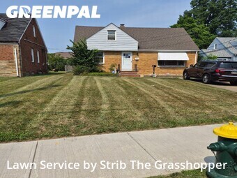 Lawn Mow nearby South Euclid, OH, 