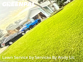 Grass Cutting nearby Largo, FL, 