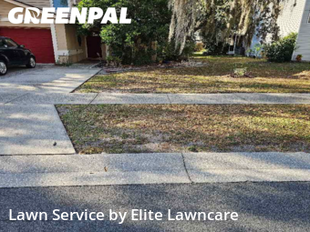 Lawn Cut nearby Tampa, FL, 