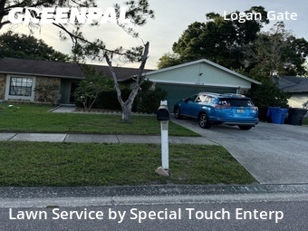 Lawn Mow nearby Citrus Park, FL, 