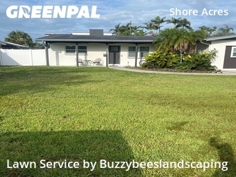 Yard Cutting nearby St. Petersburg, FL, 