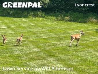 Lawn Mowing nearby Columbus, OH, 