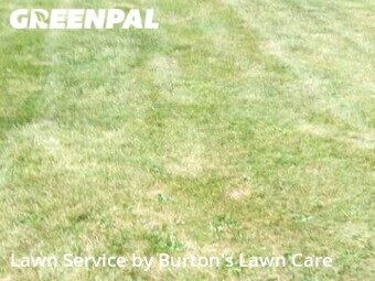 Lawn Care nearby Youngstown, OH, 