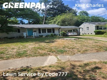 Yard Cutting nearby Raleigh, NC, 