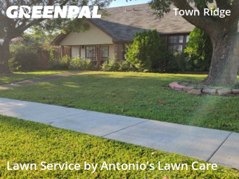 Lawn Carein Mesquite,75149,Lawn Service by Antonio's Lawn Care, work completed in Dec , 2025