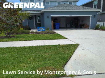 Yard Cutting nearby Lakeland, FL, 