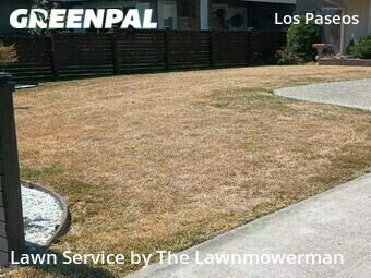 Grass Cut nearby San Jose, CA, 
