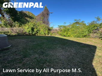 Lawn Services in Marrero, 70072, Lawn Upkeep by All Purpose M.S., work completed in Dec , 2025
