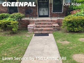 Grass Cut nearby Birmingham, AL, 