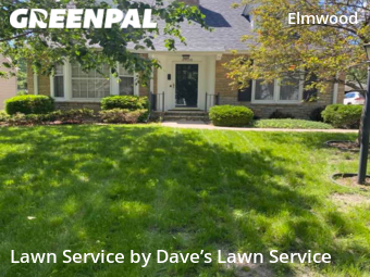 Lawn Mowing Service nearby Minneapolis, FL, 