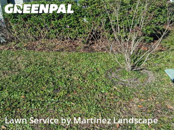 Lawn mowed in Horizon West, 34786