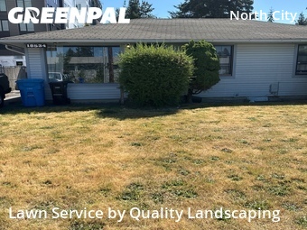 Lawn mowed in Shoreline, 98155