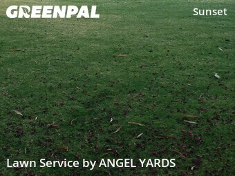 Yard Cutting nearby El Paso, TX, 