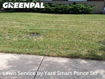 Lawn Cut nearby Lombard, IL, 