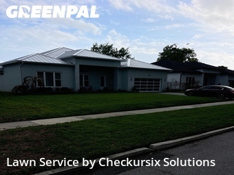 Grass Cut nearby Winter Park, FL, 