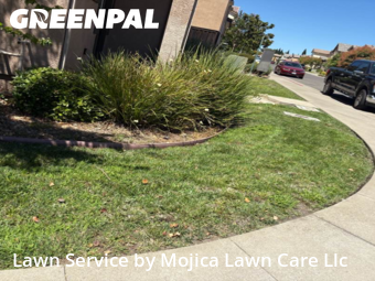 Work completed by affordable-grass-cutting-businesses-in-Folsom-CA