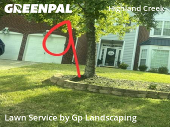 Lawn Care nearby Charlotte, NC, 