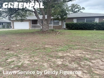 Grass Cutin Clearwater,33756,Lawn Mowing by Geidy Figueroa, work completed in Jun , 2026