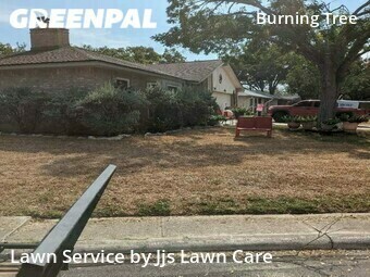 Lawn Care nearby San Antonio, TX, 