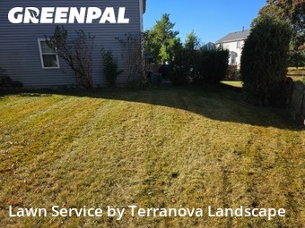 Lawn Mowing Servicein Bolingbrook,60490,Yard Mowing by Terranova Landscape, work completed in Nov , 2025