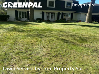 Grass Cutting nearby Indianapolis, IN, 
