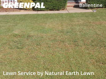 Lawn Care Service nearby Irmo, SC, 