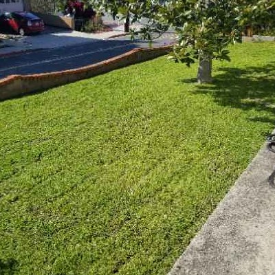 Order Lawn Care in San Diego, CA, 92154