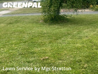 Lawn mowed in Garfield Heights, 44125