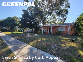 Lawn Cut nearby St. Petersburg, FL, 