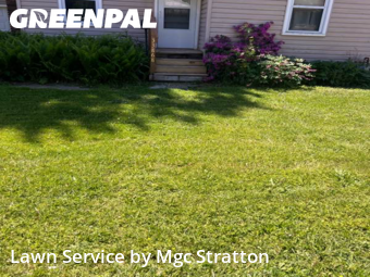Yard Management in Eastlake, 44095, Yard Maintenance by Mgc Stratton, work completed in Nov , 2025