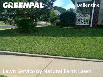 Grass Cut nearby Irmo, SC, 