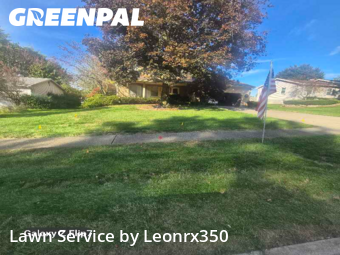 Yard Care in Niles, 44446, Yard Management by Leonrx350, work completed in Oct , 2025