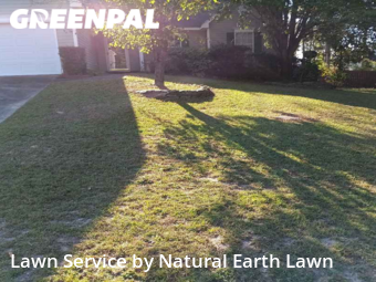 Grass Cut nearby Columbia, SC, 